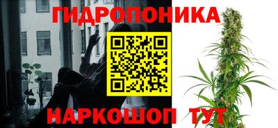тгк Шелехов