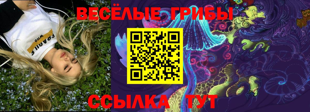 Галлюциногенные грибы Psilocybe  Вход с VPN  магазин    Минеральные Воды 